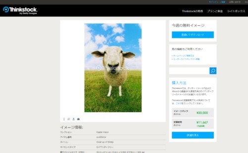 野原にたたずむ羊の写真素材を期間限定で無料配布 Thinkstock マイナビニュース