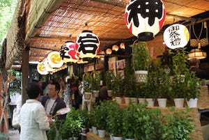 東京都・愛宕神社で、ほおづき市発祥の祭り「千日詣り ほおづき縁日」開催