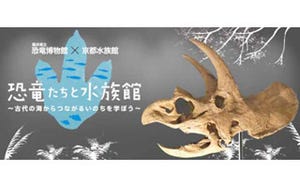 水族館で「恐竜展」が開催! -「恐竜パン」や「発掘パフェ」も
