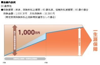 オリックス生命、終身保険「ライズ」を発売--収入保障保険「キープ」は刷新