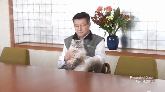 プーチン大統領から秋田県に贈られた猫 ミール君 は今 マイナビニュース