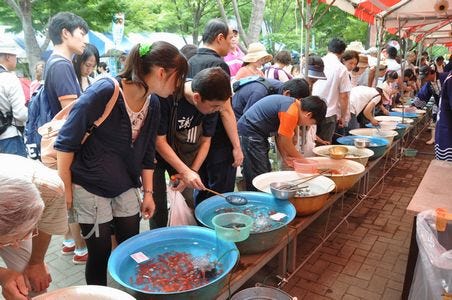 東京都江戸川区で 金魚まつり 開催 2万匹の金魚すくいで大会も実施 マイナビニュース