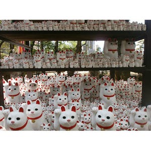 東京都の"招き猫発祥の地"である豪徳寺・自性院・今戸神社、猫はどう違う?