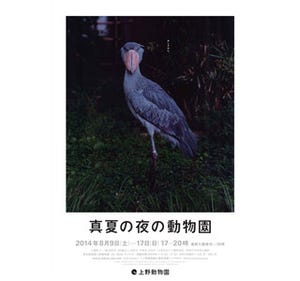 東京都・上野動物園が「真夏の夜の動物園」を開催