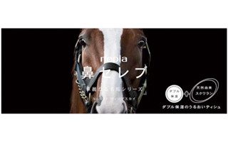 馬の「鼻セレブ」が登場