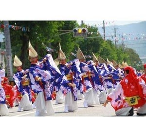 高知県で華やかな衣装に身を包んだ2万人が踊りに踊る「よさこい祭り」開催