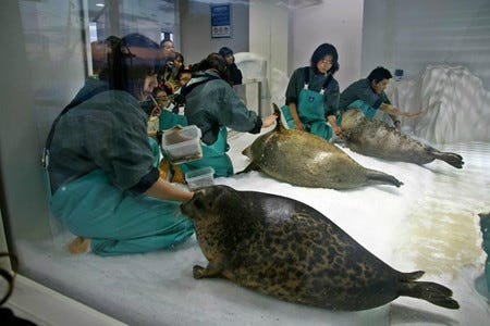世界の動物園 水族館ランキング 日本から旭山動物園 海遊館などが選出 マイナビニュース