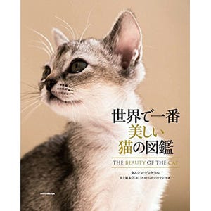 「世界で一番美しい猫の図鑑」が発売