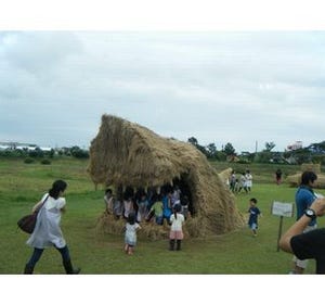 田んぼにサメが出たぞ! 新潟県で稲わらの巨大アート「わらアートまつり」