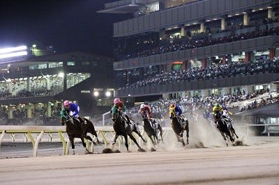 東京都 大井競馬場で 競馬初心者のための婚活イベント うまコン 開催 マイナビニュース