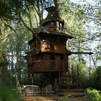 樹上に建てられない家はない ツリーハウスの魔術師 ピートの仰天建築術 マイナビニュース