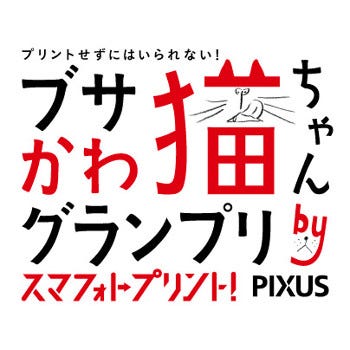 キヤノン 日本一のブサかわ猫を選ぶ写真コンテスト スマホから応募可能 マイナビニュース