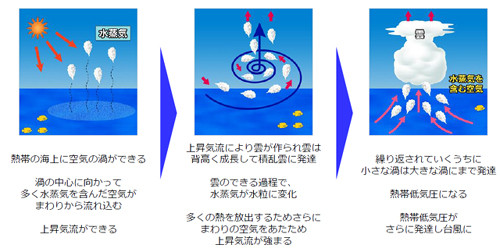 台風は1年中発生している 9月に日本へ災害をもたらす台風が多い理由とは マイナビニュース