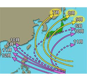 台風は1年中発生している! - 9月に日本へ災害をもたらす台風が多い理由とは