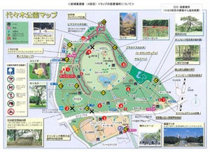 東京都・代々木公園の3ヶ所にデングウイルス保有の蚊 - 確認場所は1カ所減