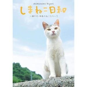 15人の人間と100匹以上の猫たちが暮らす愛媛県・瀬戸内の青島