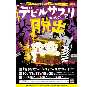 兵庫県姫路市でホワイトライオンの赤ちゃんが見られる謎解きゲーム開催