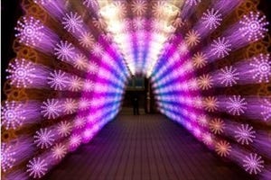 東京都文京区の東京ドームシティが、LED220万球のイルミネーションを実施