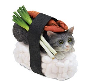 寿司のシャリの上に猫がのっている「ネコずし」が話題に