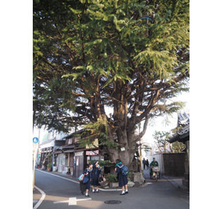 東京都千代田区で猫の町・谷中の今を知る写真展開催