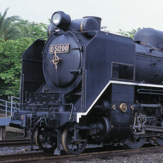 JR西日本、D51形200号機が本線運転復活へ - 梅小路運転区にSL