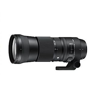 シグマ、「150-600mm F5-6.3 DG OS HSM | Sports」が受注好調で供給不足に