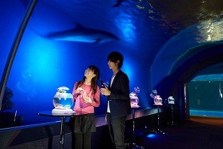 カップルで夜の水族館を楽しむイベント「アクアナイト・ラバーズ」開催