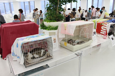 兵庫県神戸市で 猫の里親譲渡会が開催 猫の画像も公開 マイナビニュース