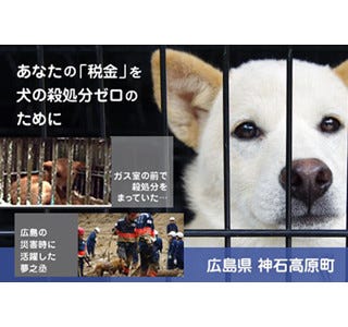 ふるさと納税で 犬の殺処分をゼロに 広島県神石高原町 マイナビニュース