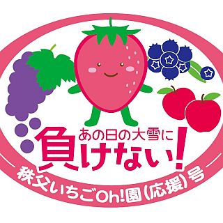 西武鉄道「秩父いちごOh!園(応援)号」1/16から運転開始、観光農業復興をPR