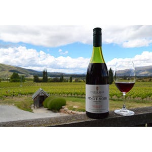 ワインと絶景に酔う! 世界最南端のワイナリーはニュージーランドにあり