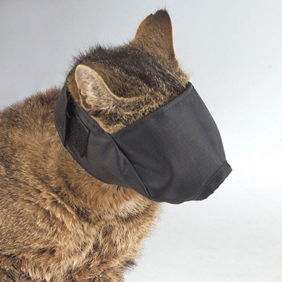 病院が苦手な怖がりな猫にピッタリ! 猫のための目隠し マイナビニュース