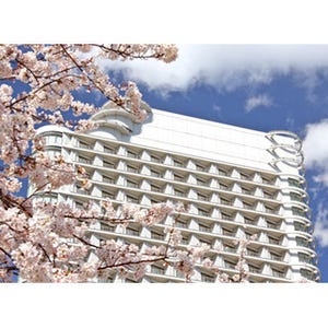 デザートビュッフェ付き! 横浜で満開の桜を見下ろす宿泊プラン"さくら日和"