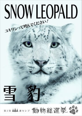 どの動物が一番かわいい 鼻セレブの総選挙が開催中 マイナビニュース