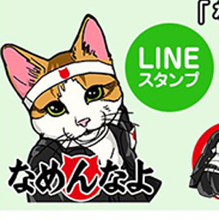 あの"なめ猫"がLINEスタンプに - 期間限定で無料配信