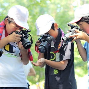 キヤノン、小学生向け写真教室の参加校・団体を募集