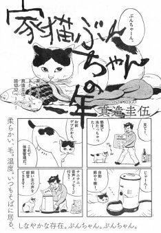 真造圭伍 月スピで猫とおじさん描く感涙読み切り 家猫ぶんちゃんの一年 マイナビニュース