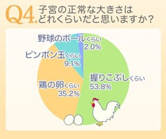 子宮や卵巣 正常な大きさは 初期の卵巣腫瘍では気づかないことも マイナビニュース