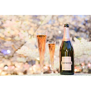 東京都・中目黒に週末限定の屋外BAR - 桜とスパークリングワインを堪能