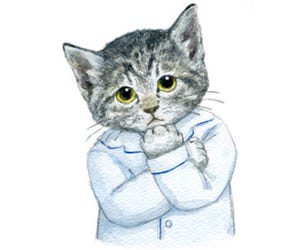 猫のキャラクター「レオニャルド・フミンチ」が可愛いと話題に