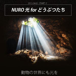 動物向けの光通信「NURO 光 for どうぶつたち」登場! - 月額どんぐり12個
