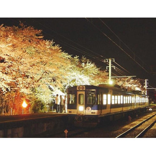 電車内で地ビール飲み放題! 2日限定で夜桜見物の特別電車「飲んでん」運行