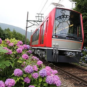 箱根登山鉄道「アレグラ号」も使用、「夜のあじさい号」6/20から運行開始!