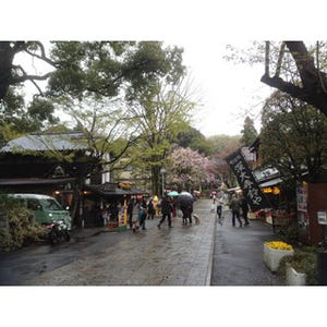 東京都・深大寺はそばのみならず! 懐かしささえ感じるぶらり散歩をしよう