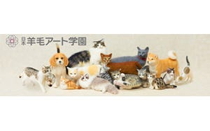 猫作り専門の科目「猫科」のある学園が、東京都中央区に存在した!