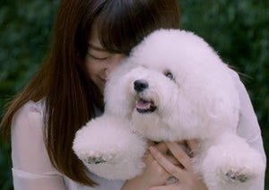 桐谷美玲がモフモフ犬をギュッ! 至福の表情を浮かべる『GREEN SHOWER』新CM