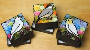 花びらで文鳥やオカメインコのイラストを描くサービスが登場!