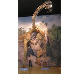 千葉県・幕張メッセで"メガ恐竜展"開催 - ヨーロッパ最大の恐竜も登場