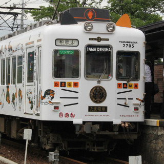 たま駅長のいない休日 - 和歌山電鐵貴志駅に献花台「天国でも見守ってね」