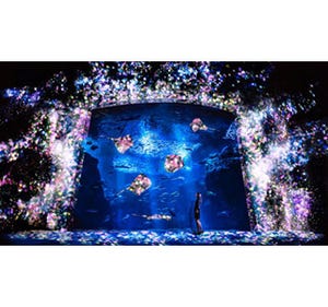 神奈川県・新江ノ島水族館×チームラボの夜イベント--水槽に花が咲き乱れる